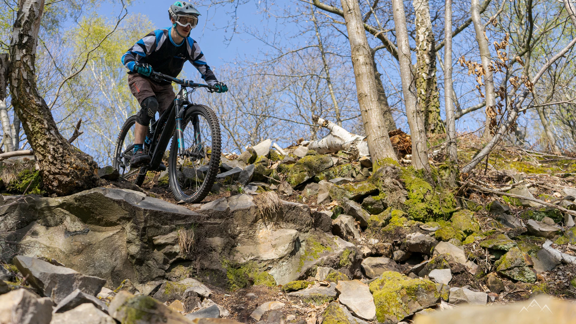 Trelock Verkäufe -Trelock Verkäufe DSC03900