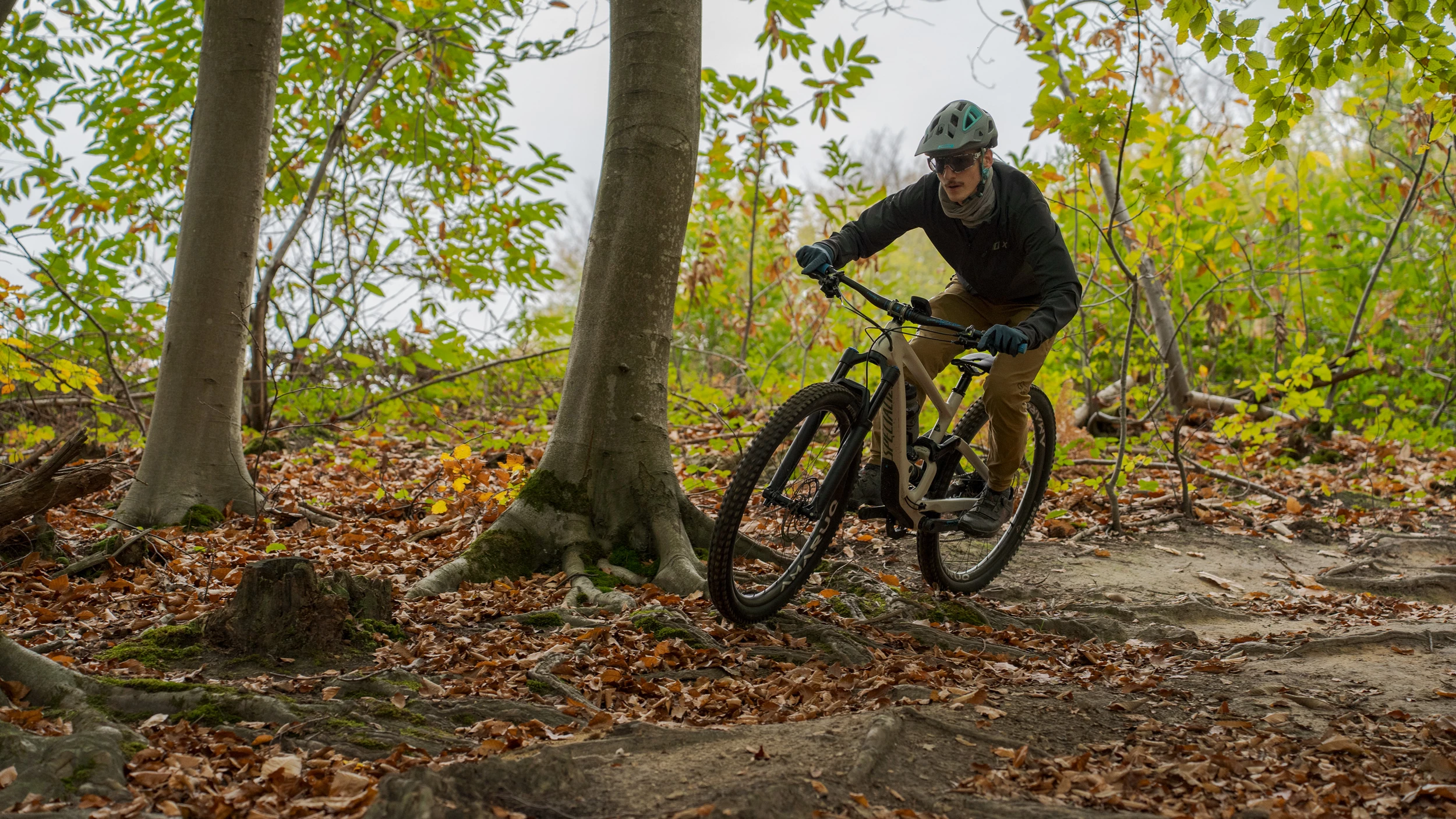 Trelock Verkäufe -Trelock Verkäufe DSC06099 1